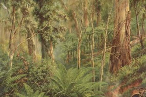 J.A. Turner