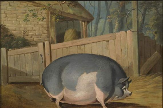 J.B. Everard Pinx