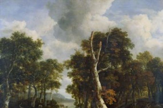 Jacob Salomonsz. Ruysdael