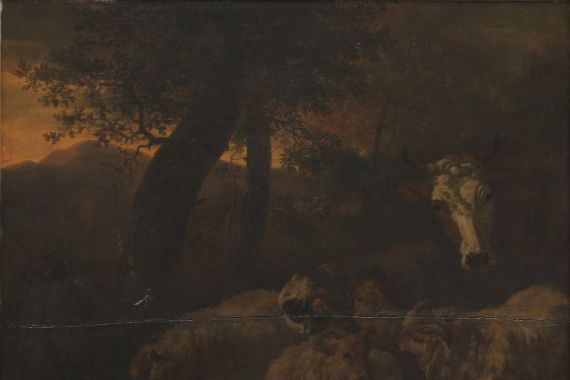 Jacob van der Does d.Æ.