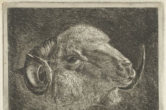 Jacobus Cornelis Gaal (signed by artist)