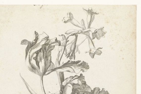 Jacques Bailly (I)