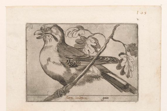 Jacques de Fornazeris (possibly)