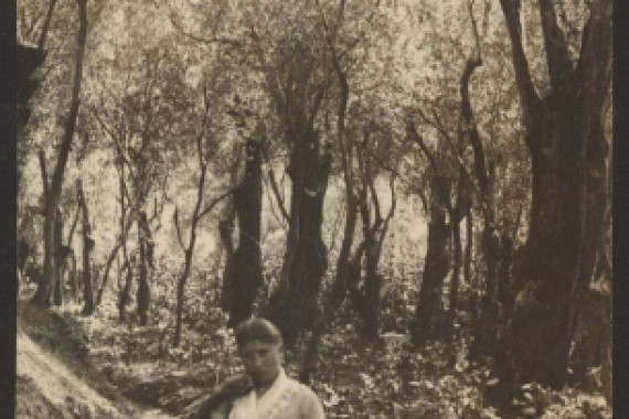 James W. Holcombe