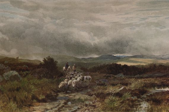 James William Whitaker