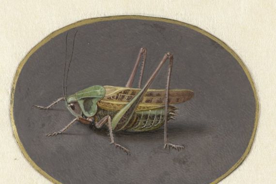 Jan Augustin van der Goes