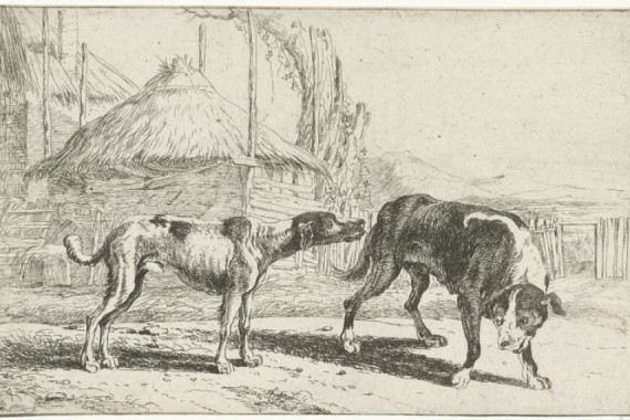 Jan van den Hecke