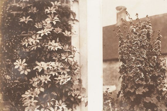 Jane Martha St. John