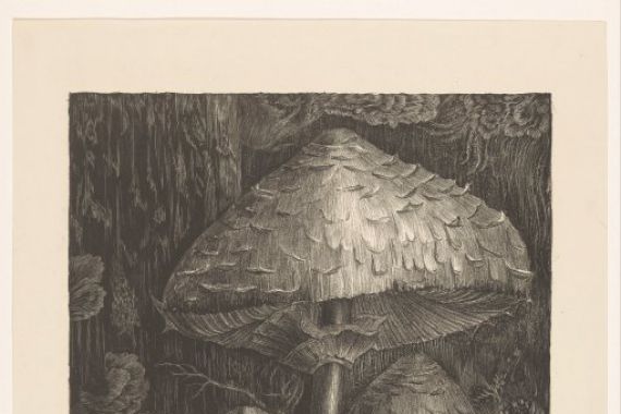 Jo van Oosten Slingeland (signed by artist)