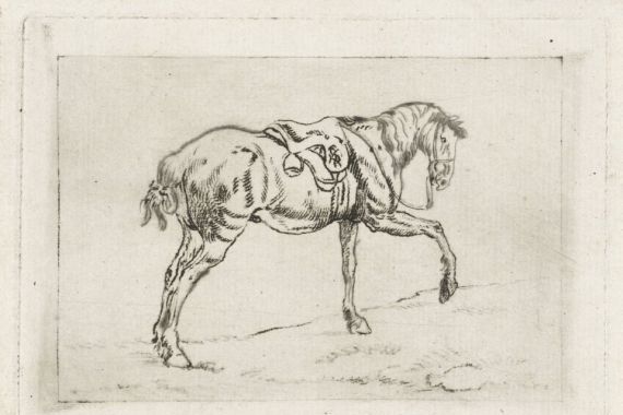Joannes Pieter Visser Bender