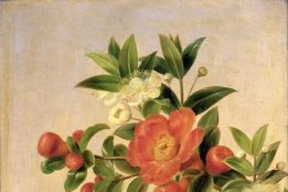 Johan Laurents Jensen
