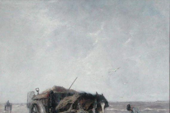 Johan Scherrewitz