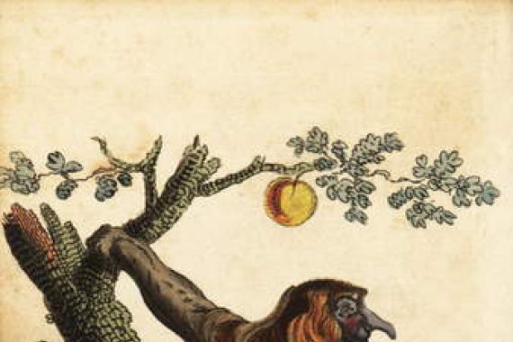 Johann Eberhard Ihle