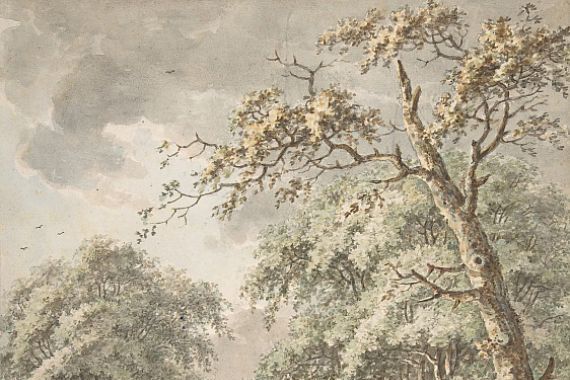 Johann Edler Goll van Franckenstein
