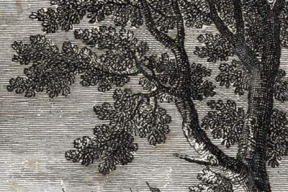 Johann Michael Mettenleiter