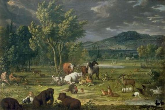 Johann Wenzel Peter