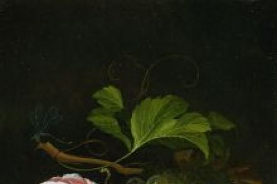 Johannes Borman