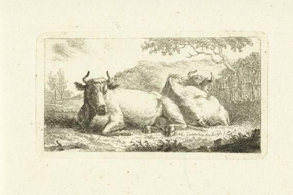 Johannes van Cuylenburgh