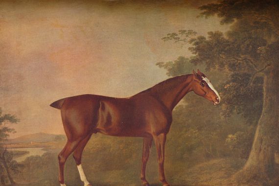 John Boultbee/Unknown