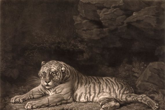 John Dixon
