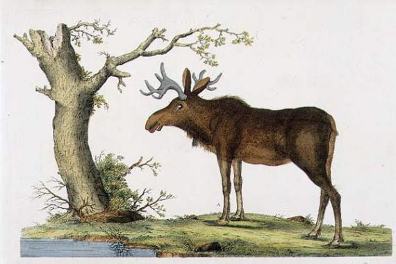 John Frederick (after) Miller
