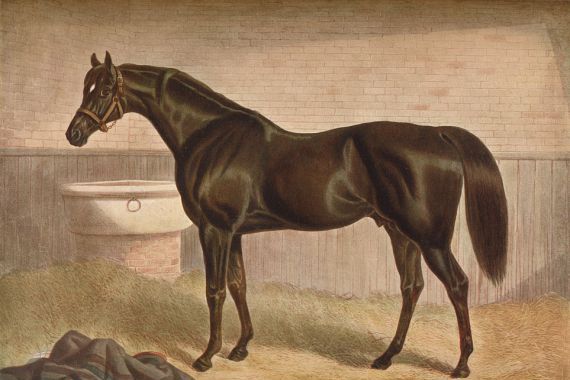 John Frederick Herring I