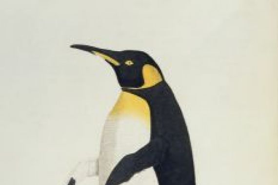 John Frederick Miller