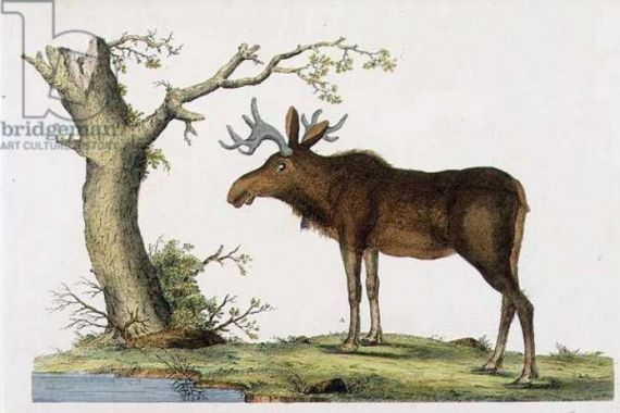John Frederick after Miller