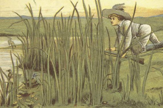 John George (after) Sowerby
