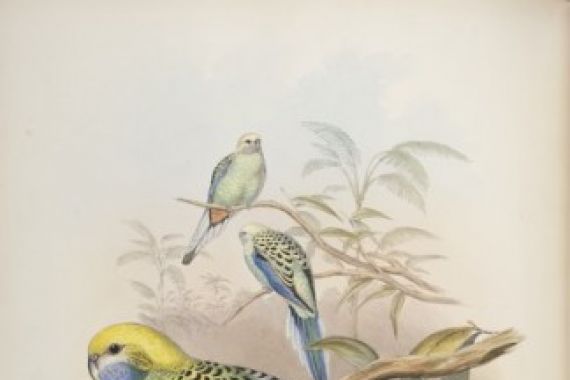 John and Richter Gould