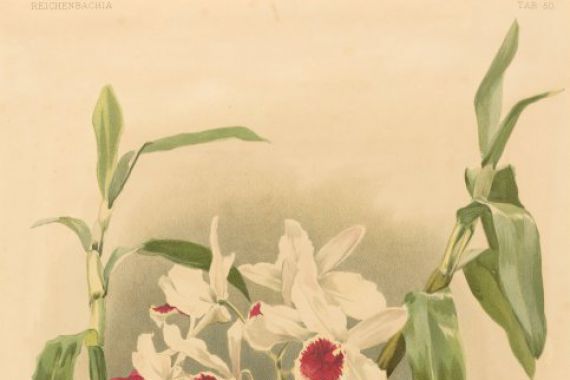Joseph Mansell after Henry George Moon
