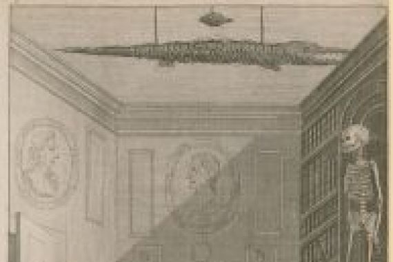 Joseph Nicholls