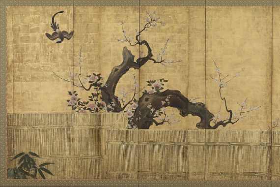 Kano Koi