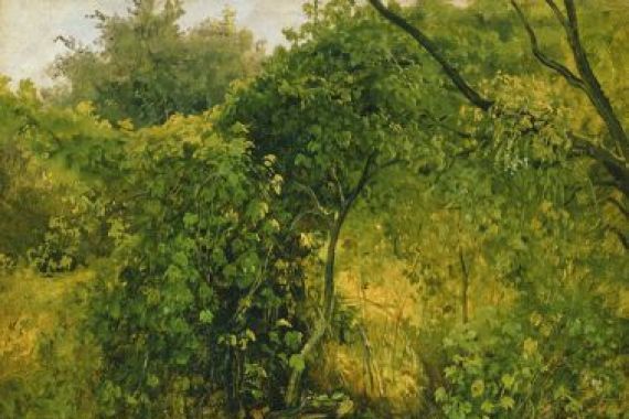 Karl Gustav Carus
