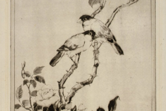 Kazuo Matsubara