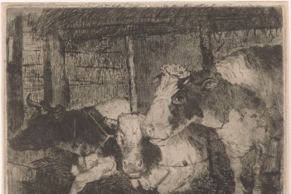 Klaas van Leeuwen