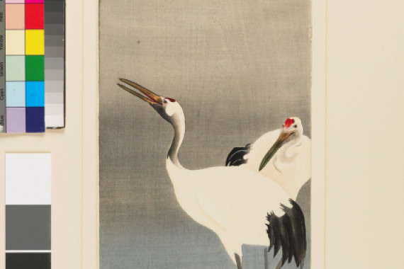 Koson Ohara