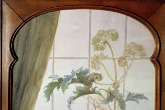 Louis Hestaux