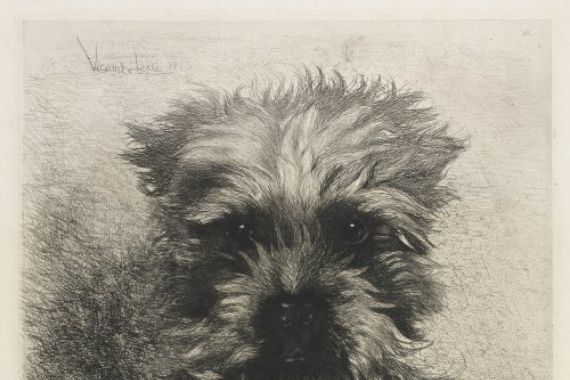 Ludovic Napoléon, Vicomte Lepic