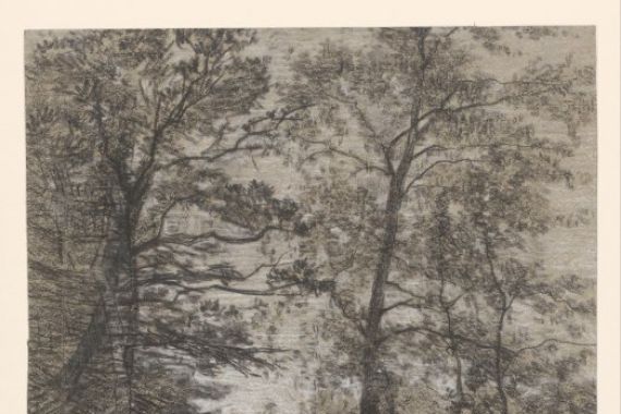 Maria Bilders van Bosse (signed by artist)