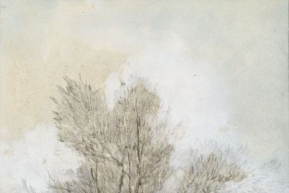 Maria Bilders van Bosse