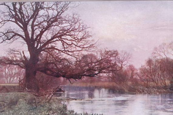 Mary Cottam