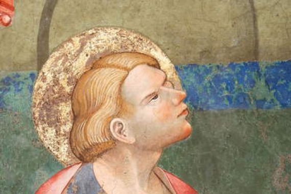 Master of Vignola