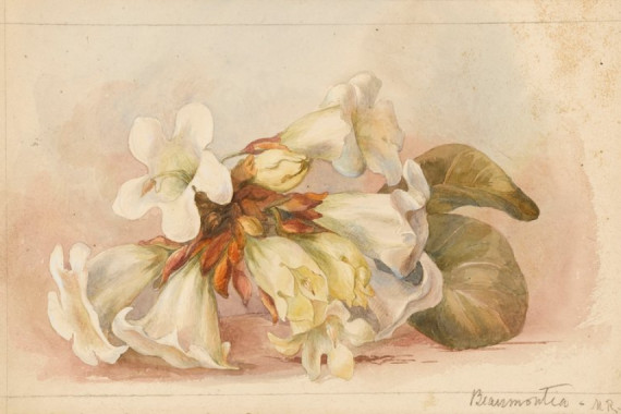 Matilda Rose Herschel