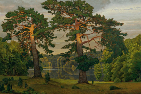 Max Zaeper