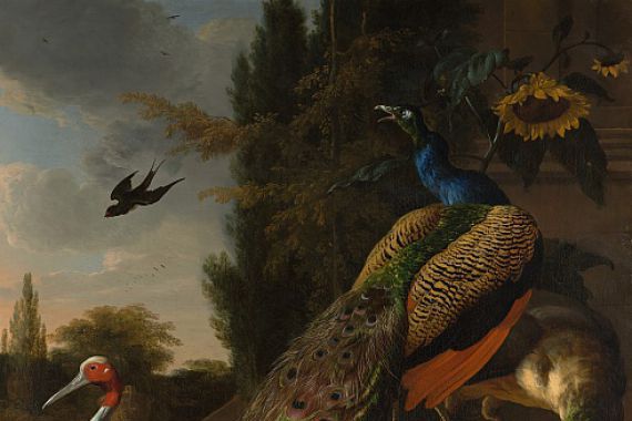 Melchior d'Hondecoeter