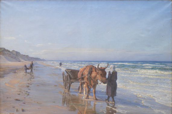 N.P. Mols