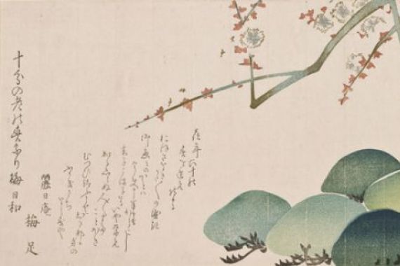 Nakamura Hochu