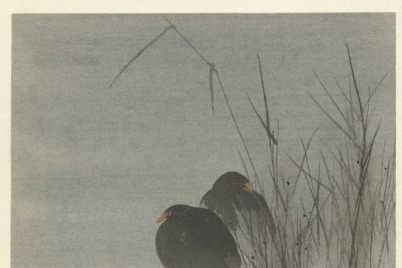 Okuhara Seiko