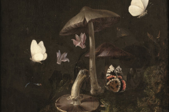 Otto Marseus van Schrieck